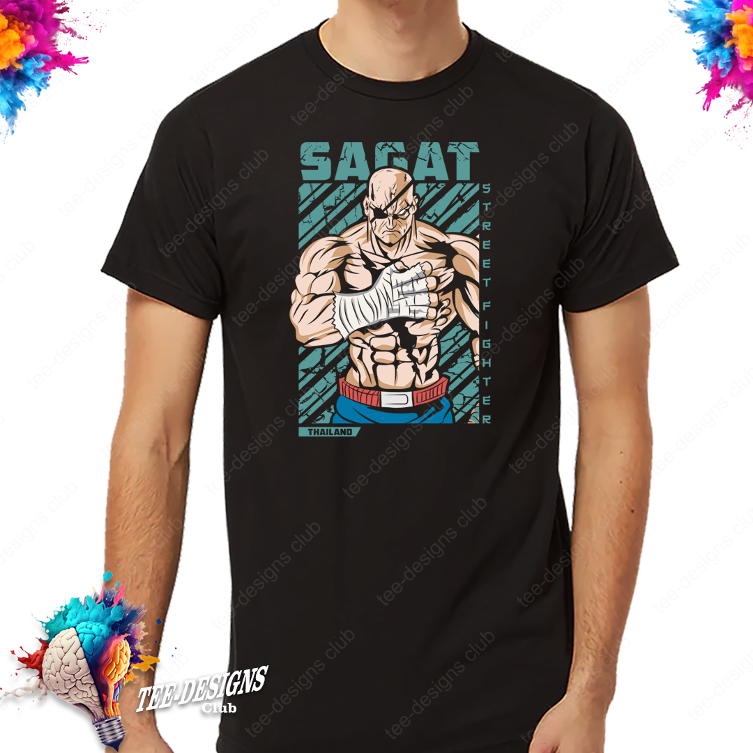 Street fighther 0010 graphic design